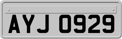 AYJ0929