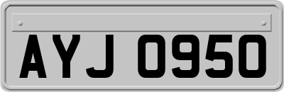 AYJ0950