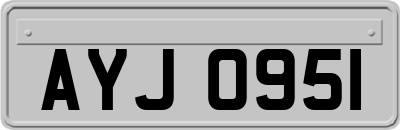 AYJ0951