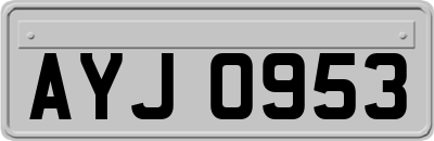 AYJ0953