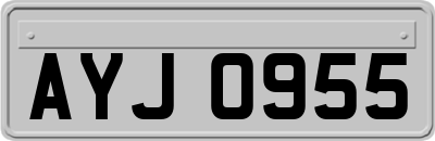 AYJ0955