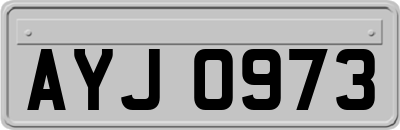 AYJ0973
