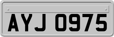 AYJ0975