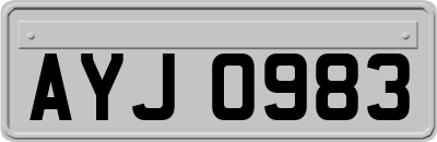 AYJ0983