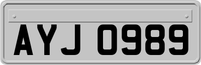 AYJ0989