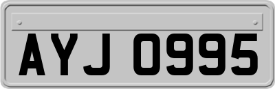 AYJ0995