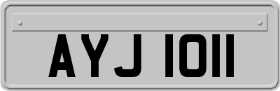 AYJ1011