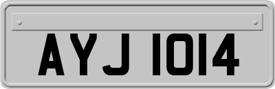 AYJ1014