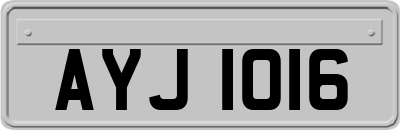AYJ1016