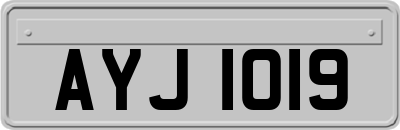 AYJ1019