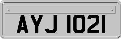 AYJ1021