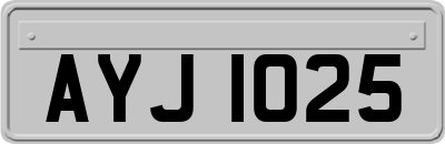 AYJ1025