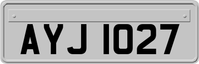 AYJ1027