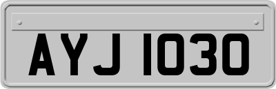 AYJ1030