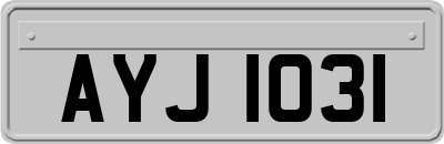 AYJ1031