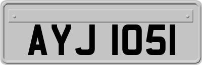 AYJ1051