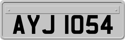 AYJ1054