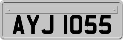 AYJ1055