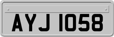 AYJ1058