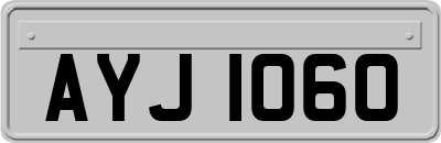 AYJ1060