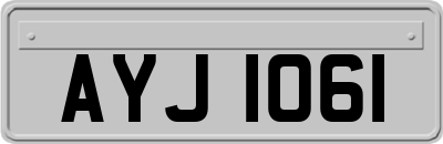 AYJ1061