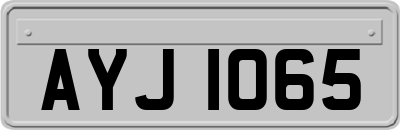 AYJ1065