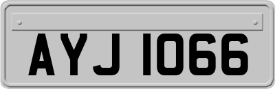 AYJ1066