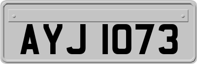 AYJ1073