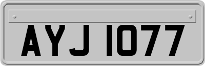 AYJ1077