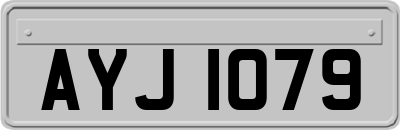AYJ1079