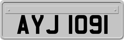 AYJ1091