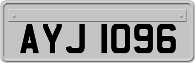AYJ1096