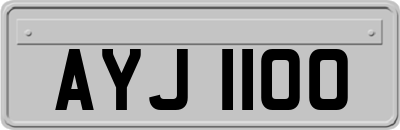 AYJ1100