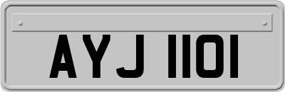 AYJ1101