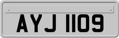 AYJ1109