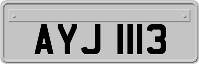 AYJ1113