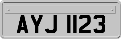 AYJ1123