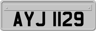AYJ1129