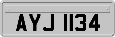 AYJ1134