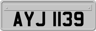 AYJ1139