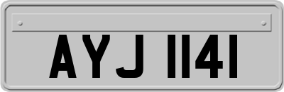 AYJ1141