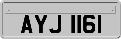 AYJ1161