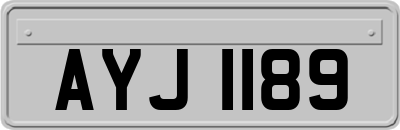 AYJ1189