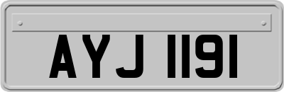 AYJ1191