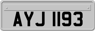 AYJ1193