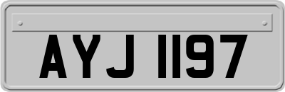 AYJ1197