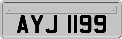AYJ1199