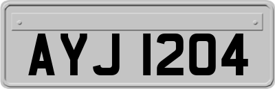 AYJ1204