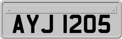 AYJ1205