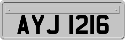 AYJ1216